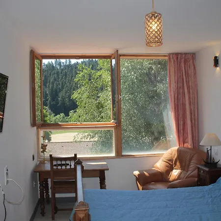 לינה וארוחת בוקר Mmm Soiree Etape La Seauve-Sur-Semene