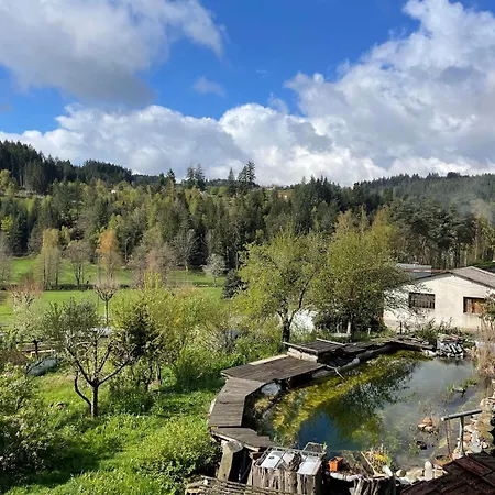 Mmm Soiree Etape 3* La Seauve-Sur-Semene