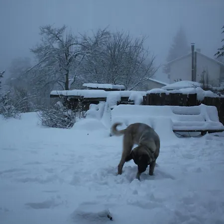 לינה וארוחת בוקר Mmm Soiree Etape La Seauve-Sur-Semene